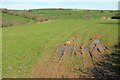 Field near East Tencreek