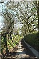 Lane above Trebant Water valley