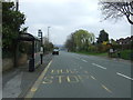 Bus stop and shelter on Nottingham Road, Nuthall