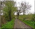 ST4341 : Heathway Drove by Roger Cornfoot