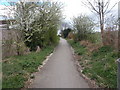 Footpath - Royston Lane