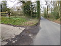 Looking north on Horsham Road from the drive for Stonehouse Wood Farm