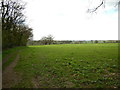 Field near Blakes Stud