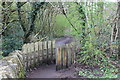 Footpath above Cwmcarn Forest Drive