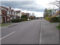 Lynwood Drive - viewed from Peterfoot Way