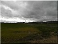 Farmland at West Inchmichael