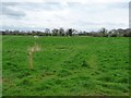 Fenced field boundary, Round House Farm