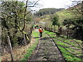 Ger Llwyn Helyg / Near Llwyn Helyg