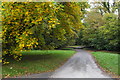 Lanhydrock: drive towards Respryn  Bridge