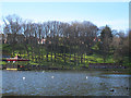 Looking across the lake in Peasholm Park 