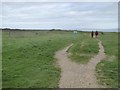 Path on the clifftop, Barton on Sea