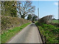 Lane to Ley Green, Kings Walden