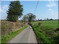 Lane to Ley Green, Kings Walden