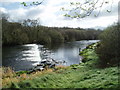 Weir, Afon Seiont