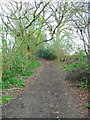 Footpath at Stopsley Holes