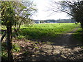 Buildings at Burleigh Oaks Farm seen from footpath