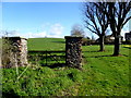 Gate pillars, Clogherny Glebe Lower