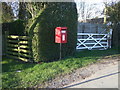 Elizabeth II postbox on Wiggington Lane