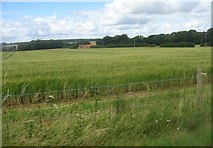 SU5549 : Farmland west of Oakley Hall by Mr Ignavy