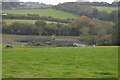 Lake south of Slapton village