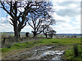 Muddy field entrance