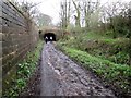 Track  toward  tunnel  on  Parlington  Lane