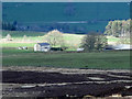 Sunlight on Frolar Meadows