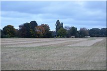 TL4451 : Grassland near Hauxton by N Chadwick