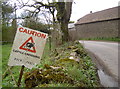 Caution - cattle crossing!