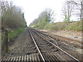 View from the foot crossing between Little Browns Lane and Hilders Lane