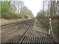 View from the foot crossing between Little Browns Lane and Hilders Lane