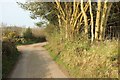 Lane near Butterdon