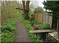 Path along the edge of the Aylestone Playing Fields