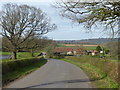 Looking down Grants Lane