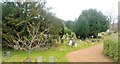 Histon Road Cemetery