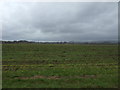 Farmland near Inchbelle Farm