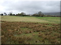 Rough grazing near Roitfair