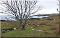 Nautical playground at Glas Aird