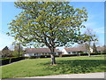 Green, Brockwell Lane, Kelvedon