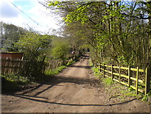 SK5747 : Track through Bestwood Country Park (3) by Richard Vince