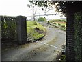 Former driveway to house off Switchback Road