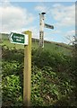 SX8454 : Signposts, Barberry Cross by Derek Harper