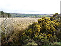 Aghaboy Townland