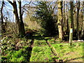 Track into Greenmeadow Wood, Cwmbran