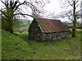 Stone walled hut, Binnafreaghan