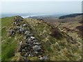 NS4574 : Dry-stone wall on crags by Lairich Rig