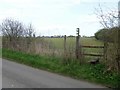 Path leaves the road