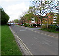 Anson Way, Bridgwater