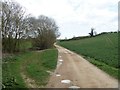 Driveway to the farm