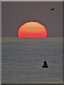 SH2887 : Sunset over The Irish Sea by Neil Theasby